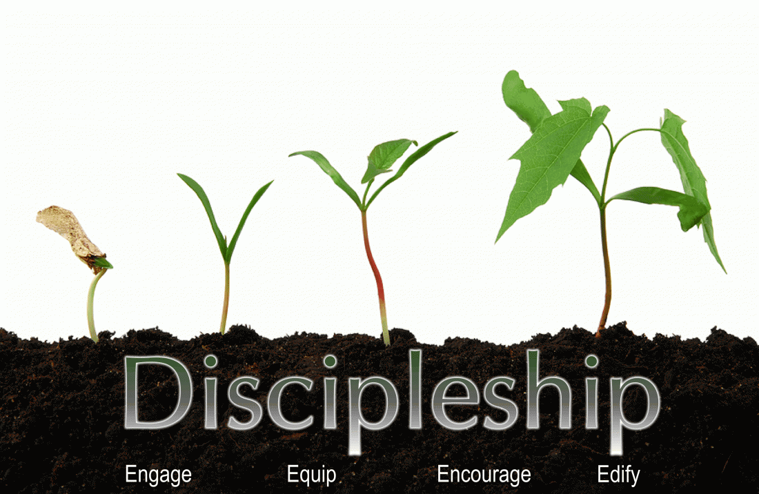 Church Discipleship Assessment | Life Giving Words of Hope ...